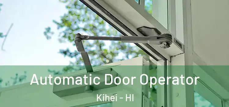 Automatic Door Operator Kihei - HI