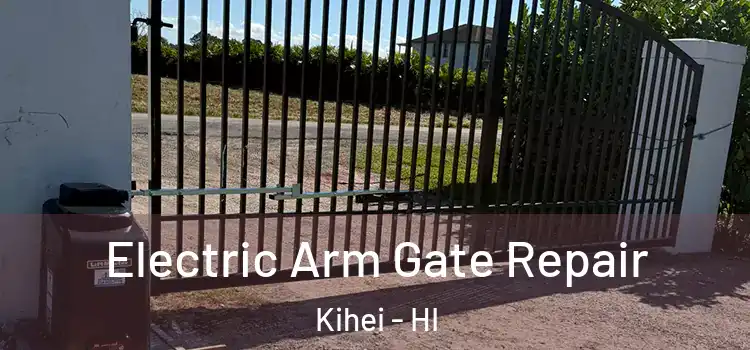 Electric Arm Gate Repair Kihei - HI