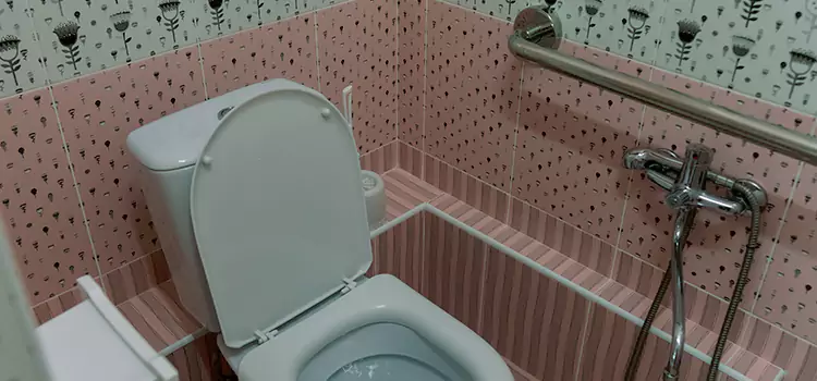 Meeting Diverse Needs With Accessible Restroom Solutions in Kihei, HI