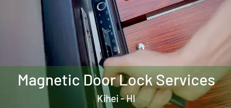 Magnetic Door Lock Services Kihei - HI